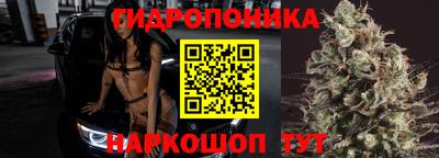 стаф Славгород