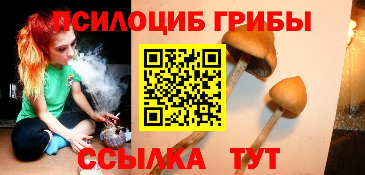 Псилоцибиновые грибы MAGIC MUSHROOMS Новочеркасск