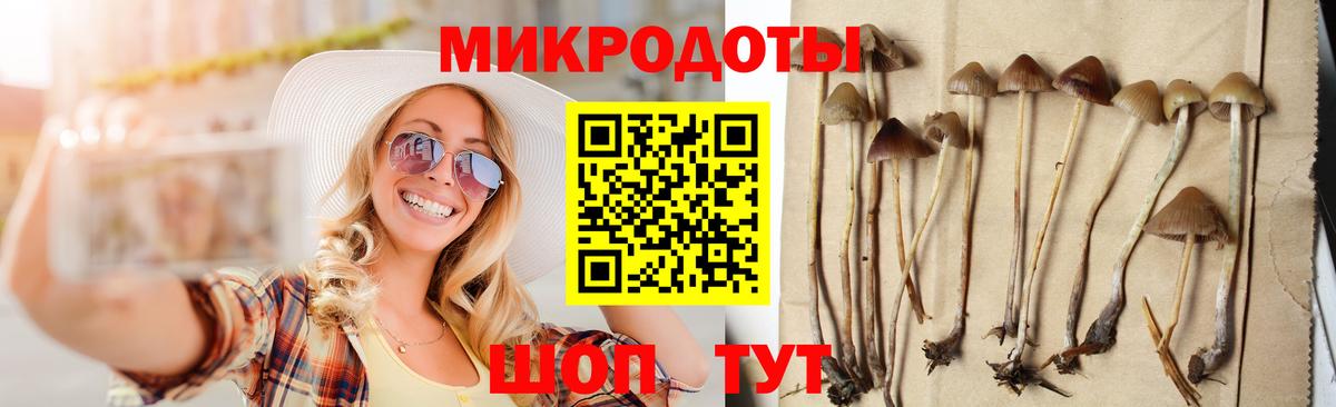 Галлюциногенные грибы Psilocybine cubensis  Вход с VPN  Новочеркасск 